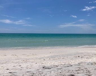 The Sea