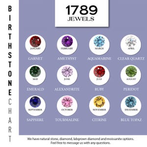 Puede incluir: Un gr&aacute;fico de piedras de nacimiento de 1789 Jewels, con una cuadr&iacute;cula de piedras preciosas para cada mes. Cada piedra preciosa se muestra en un marco circular con el mes y el nombre de la piedra preciosa debajo. El gr&aacute;fico incluye Granate, Amatista, Aguamarina, Cuarzo transparente, Esmeralda, Alejandrita, Rub&iacute;, Peridoto, Zafiro, Turmalina, Citrino y Topacio azul.