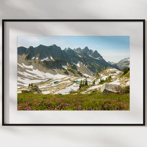 May include: A framed landscape photograph of a mountain range with snow-capped peaks, a valley with small turquoise lakes, and a foreground of green grass and pink flowers. The sky is a clear blue.