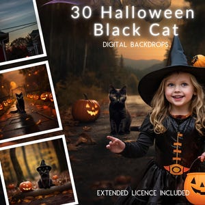30+ Halloween Black Cat CG Digital Backdrops, Spooky Cat, Digital Background, Instagram, TikTok, Halloween Digital Scraps Extended Licence