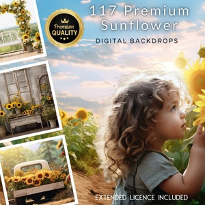 117 Premium Sunflower Backdrops, Sunflower field, Rustic Sunflower, Sunflower Background, Instagram, TikTok, Arches, Trucks, Couches, Stock