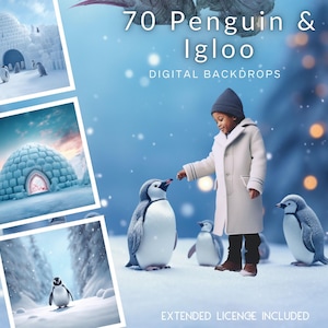 70 Penguin and Igloo CG Digital Backdrops, Baby Penguins, Holiday Backdrop, Instagram, TikTok, Card, North Pole, Winter wonderlands, stock
