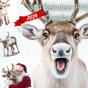 314+ Renos navideños PNG precortados AI Superposiciones Instagram, Realista, 2024, Tarjeta de reno, Álbum de recortes, TikTok, Mascota, Fondos, Compuesto