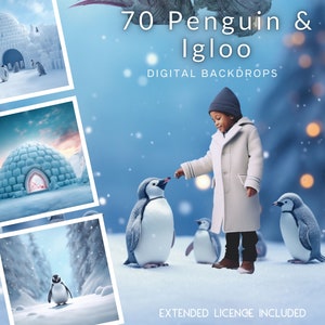 70 cenários digitais CG de pinguins e iglu, pinguins bebês, cenário de férias, Instagram, TikTok, cartão, Pólo Norte, países das maravilhas do inverno, estoque