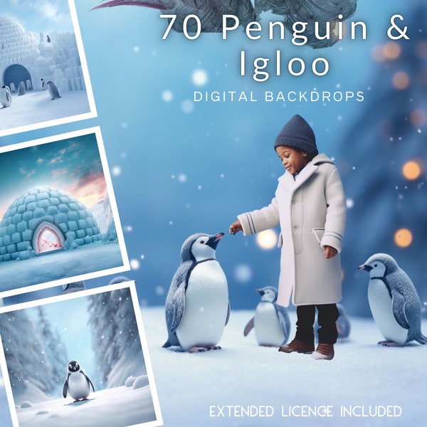 70 Fondos digitales Penguin e Igloo CG, Pingüinos bebés, Telón de fondo navideño, Instagram, TikTok, Tarjeta, Polo Norte, Tierras maravillosas de invierno, stock