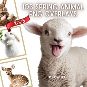 Más de 103 superposiciones PNG precortadas de animales de primavera con IA para Instagram, realistas, 2025, tarjetas de Pascua, álbumes de recortes, TikTok, mascotas, fondos, compuestos