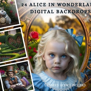 24 Alice in Wonderland Digital CG Backdrops, Fairytale Backgrounds, Storybook Background, Mega Bundle, Storybook Princess, Looking Glass
