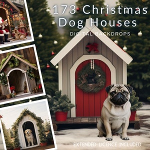 173 Hundeweihnachtshaus-cg-digitale Kulissen, Weihnachtshaustiervorrat, Winter-Katzenhaus, kundenspezifische Haustierkarte Haustier-Weihnachtskarte, TikTok, Instagram