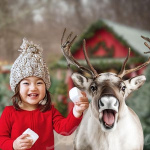 Un renne dans une ferme arboricole, toile de fond numérique AI, renne drôle, TikTok, Instagram, PNG Drop, carte personnalisée, composite magique de Noël, photo
