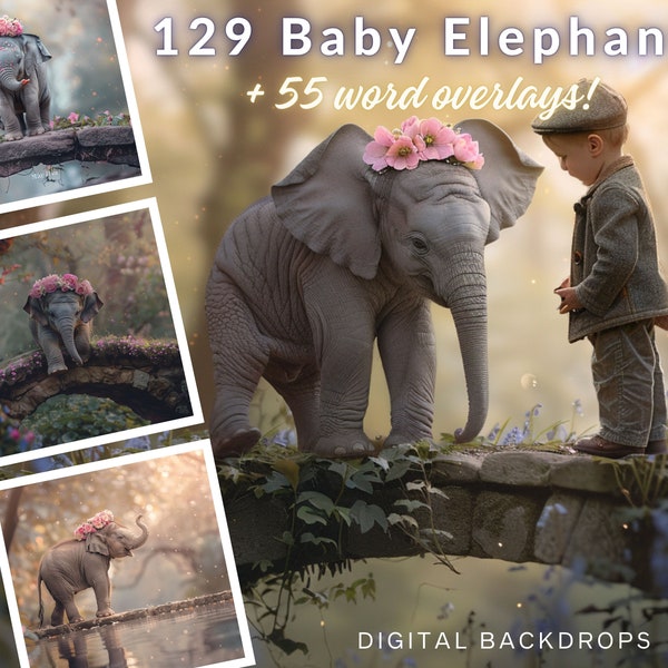 129 Adorable Baby Elephant Backdrops, CG Backdrops, Elephant Background, Composite, Animal Elephant Mega Bundle, Digital Download, Nursery