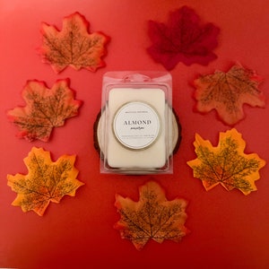 Almond Macaron Coconut Soy Wax Melt 3 oz | Handmade | Gift | Self Care | Autumn | Fall