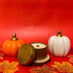 Apple Spice Delight Coconut Soy Tin Candle 4 oz| Handmade | Gift | Self Care | Wood Wick Candle | Autumn | Fall