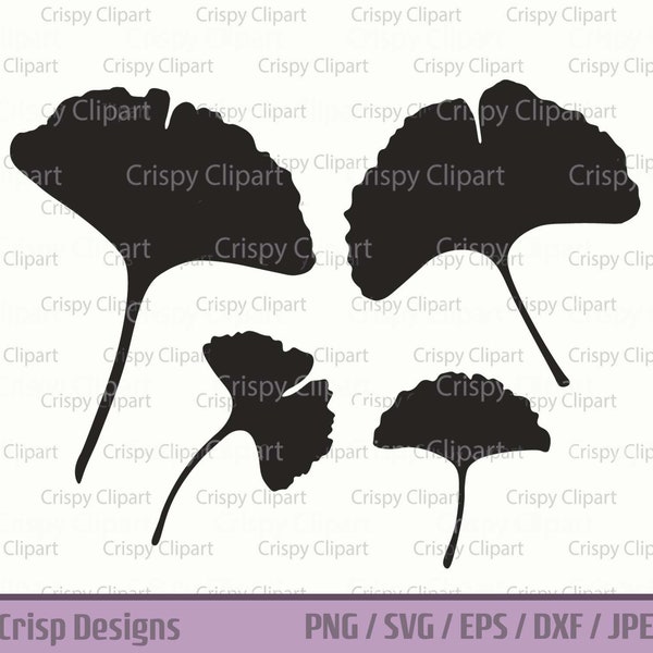 Ginkgo Leaves SVG, Ginkgo Biloba Leaf Cut File, Gingko Tree Leaf Vector Art, Fan Shaped Leaf Clipart, Maidenhair Tree, Botanical, Nature PNG