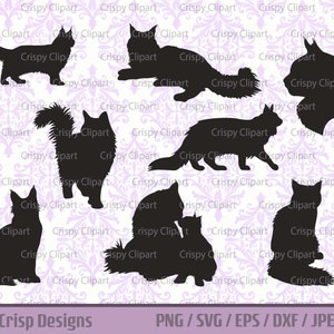 Langhaar Katze SVG Bundle, Maine Coon Silhouette geschnitten Datei Haustier Katze Vektor Art, flauschige Katze Clipart, Katze stehend, Seitenansicht, sitzend, liegend