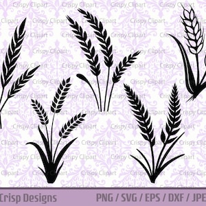 Tallo de trigo SVG, imágenes prediseñadas de silueta de grano, archivo de corte de hierba de trigo, spray de trigo, arte vectorial de plantas, botánico de cebada, harina, arte vectorial de gluten