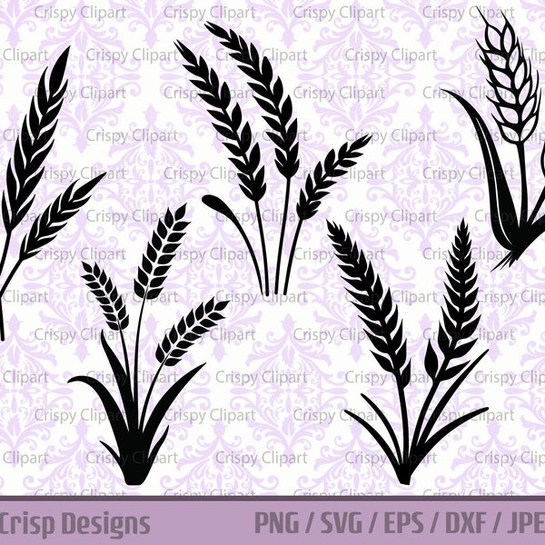 Wheat Stalk SVG, Grain Silhouette Clipart, Wheat Grass Cut File, Wheat Spray, Plants Vector Art, Barley Botanical, Flour, Gluten Vector Art