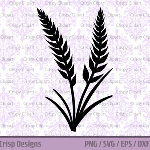 Gambo di grano SVG, Clipart sagoma di grano, file di taglio dell'erba di grano, spray di grano, arte vettoriale delle piante, orzo botanico, farina, arte vettoriale del glutine