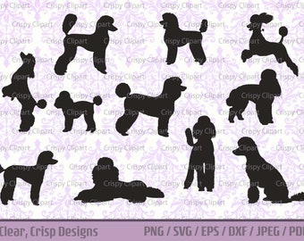 Poodle SVG Bundle Standard Poodle Silhouette Cut File Show Dog Vector Art Pet Dog Standing Side View, Laying Down, Sitting Poodle Puppy Clip