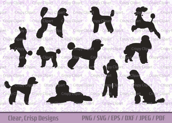 Poodle SVG Bundle Standard Poodle Silhouette Cut File Show Dog Vector Art Pet Dog Standing Side View, Laying Down, Sitting Poodle Puppy Clip