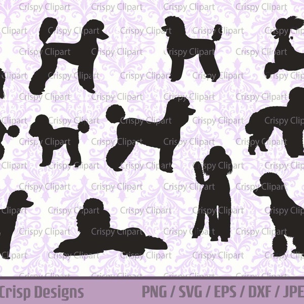 Poodle SVG Bundle Standard Poodle Silhouette Cut File Show Dog Vector Art Pet Dog Standing Side View, Laying Down, Sitting Poodle Puppy Clip