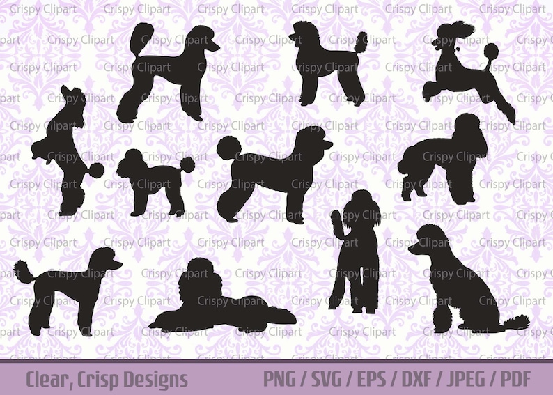 May include: A set of ten black silhouette images of poodles in various poses. The poodles are all facing different directions and have different tail positions. The images are set against a white background with a purple floral pattern.
