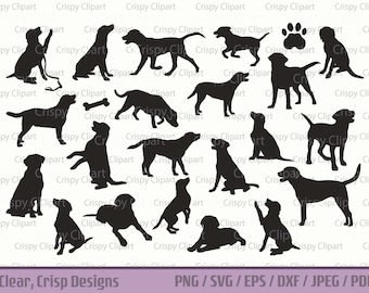 Labrador Retriever SVG Bundle Pet Dog Clipart Golden Lab Cut File Black Lab Vector Art Dog Begging PNG Labrador Sitting, Standing, Walking