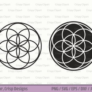 Seme della vita SVG, Seme della vita Clipart Silhouette, Arte vettoriale geometria sacra, Meiosi, Stencil, Fiore della vita Creazione File di taglio, Timbro