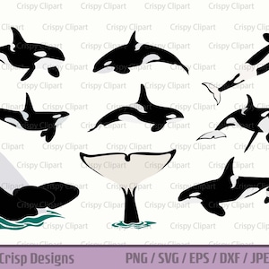 Orca SVG, Killer Whales Clipart, Marine Mammals Cut File, Ocean Life Vector Art, Sea Animals, Swimming Orca Whales, Oceanic Dolphin PNG