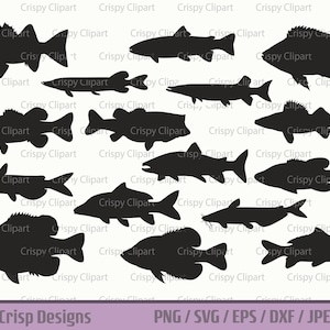 Lake Fish SVG Bundle, Northern Freshwater Fish Silhouette Cut File, Fish Variety Vector Art Set PNG Téléchargement numérique instantané Fishing Clipart