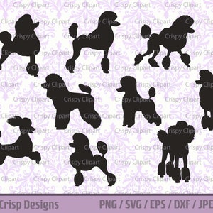 Poodle SVG Bundle, Standard Poodle Silhouette Cut File, Show Dog Vector Art, Pet Dog Standing Side View, Poodle Continental Cut Purebred PNG