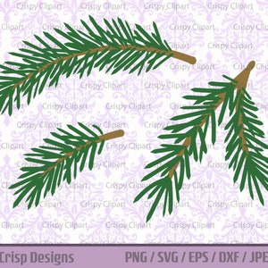 Clipart d'aiguilles de pin, arbre à feuilles persistantes de verdure d'hiver feuilles SVG, clipart d'arbre de Noël, embellissement botanique de vacances, aiguille de pin en aérosol
