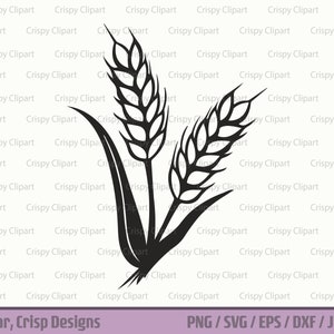 Tarwe stengel SVG, graan silhouet clipart, tarwe gras gesneden bestand, tarwe spray, planten vector kunst, gerst botanische, bloem, gluten vector kunst