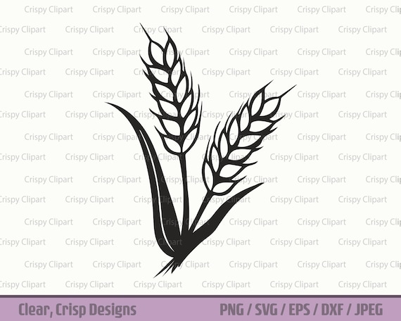 Wheat Stalk SVG, Grain Silhouette Clipart, Wheat Grass Cut File, Wheat  Spray, Plants Vector Art, Barley Botanical, Flour, Gluten Vector Art - Etsy