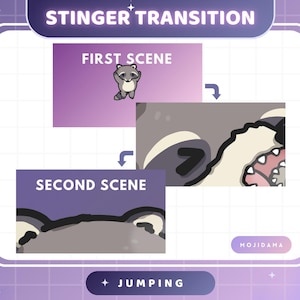 May include: A graphic with the text "STINGER TRANSITION" and "FIRST SCENE" and "SECOND SCENE". The graphic shows a raccoon and a close-up of a raccoon's face. The word "JUMPING" is also in the graphic.