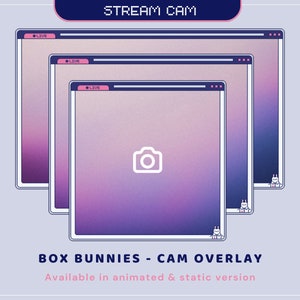 Cam Overlay Twitch Animation Bunny Animated Cute Rabbit 16: 9 Stream Frame Youtube Streaming Cat Frame Just Chatting Gaming Vtubber Bundle