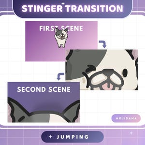 Può includere: Illustrazione grafica con il testo "STINGER TRANSITION" in alto. L'immagine mostra una sequenza di un cane dei cartoni animati, con le parole "FIRST SCENE" e "SECOND SCENE" in riquadri viola. La parola "JUMPING" è in basso.