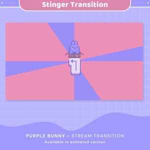 Pink Purple Bunny Stream Transition: Animated Stinger (Digital Download)