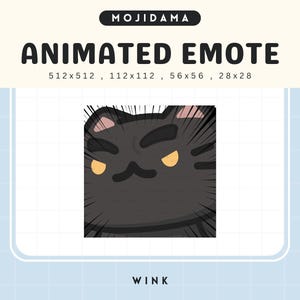 May include: An animated emote featuring a black cat with an angry expression and yellow eyes. The image includes the text "MOJIDAMA" at the top and "ANIMATED EMOTE" with size specifications. The word "WINK" is at the bottom.