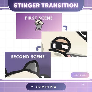Op de afbeelding: Een grafiek met de tekst "STINGER TRANSITION" en "JUMPING". Het toont een reeks van twee scènes met een cartoonopossum en een kat. De eerste scène heeft een paarse achtergrond, de tweede een donkerdere paarse achtergrond. De grafiek heeft een witte rand en een paarse rasterachtergrond.