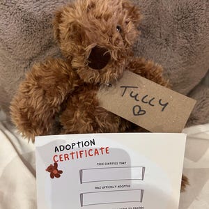 Adopta un oso TULLY necesita un nuevo hogar amoroso con certificado de nacimiento