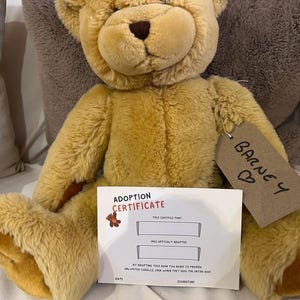 Adopta un oso BARNEY necesita un nuevo hogar amoroso con certificado de nacimiento