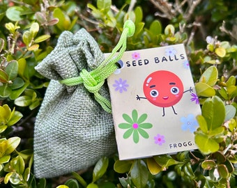 Wildflower seed balls handmade pack of six