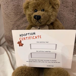 Adopta un oso MR POPS necesita un nuevo hogar amoroso con certificado de nacimiento