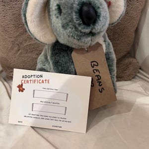 Adopta un oso Beans necesita un nuevo hogar amoroso con certificado de nacimiento