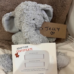 Adopta un oso JELLY necesita un nuevo hogar amoroso con certificado de nacimiento