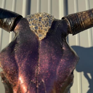Custom Bull Skull