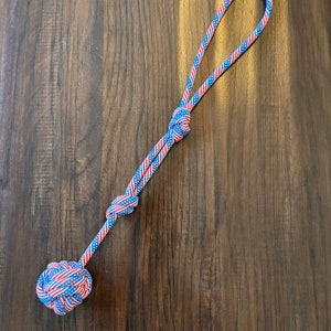 May include: Red, white, and blue rope dog toy with a knotted ball at one end and a loop at the other end.