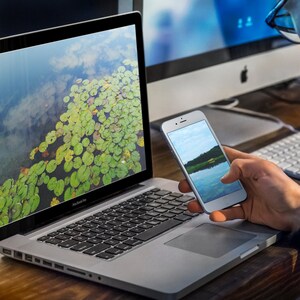 Pond Digital Downloads|Blue Pond Digital Prints|Boat On Pond|Pond Photography|Boat Water Wall Decor|Lily Pad Photography|Screen Background