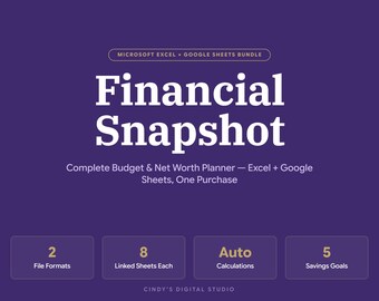 Financial Snapshot Bundle | Excel + Google Sheets | Budget Planner & Net Worth Tracker