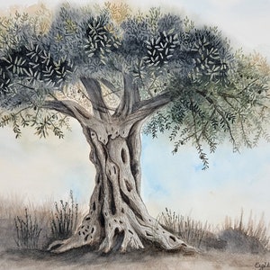 Original Landscape Watercolor Painting - "Long Live The Olive Tree", NOT A PRINT